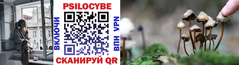 Псилоцибиновые грибы прущие грибы hydra ССЫЛКА Кодинск
